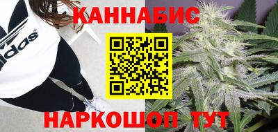 прущие грибы Комсомольск-на-Амуре