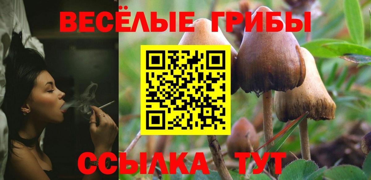 Псилоцибиновые грибы Psilocybine cubensis  Вход с VPN  Псилоцибиновые грибы GOLDEN TEACHER  Кострома 