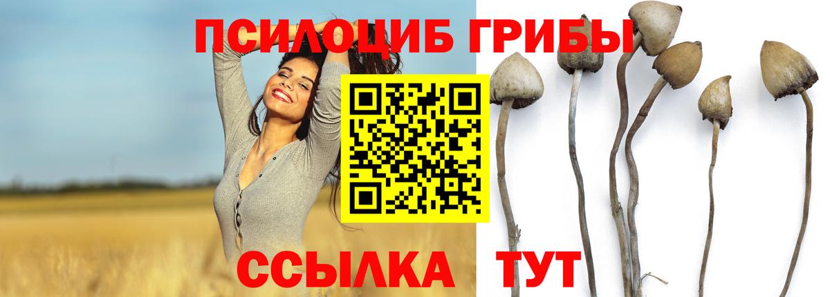 Марихуана Кострома