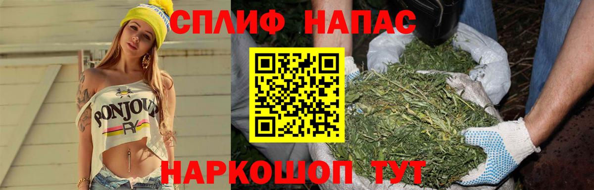 Каннабис планчик Кострома